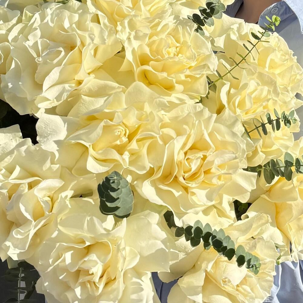 https://content2.flowwow-images.com/data/flowers/1000x1000/92/1727279379_85433492.jpg