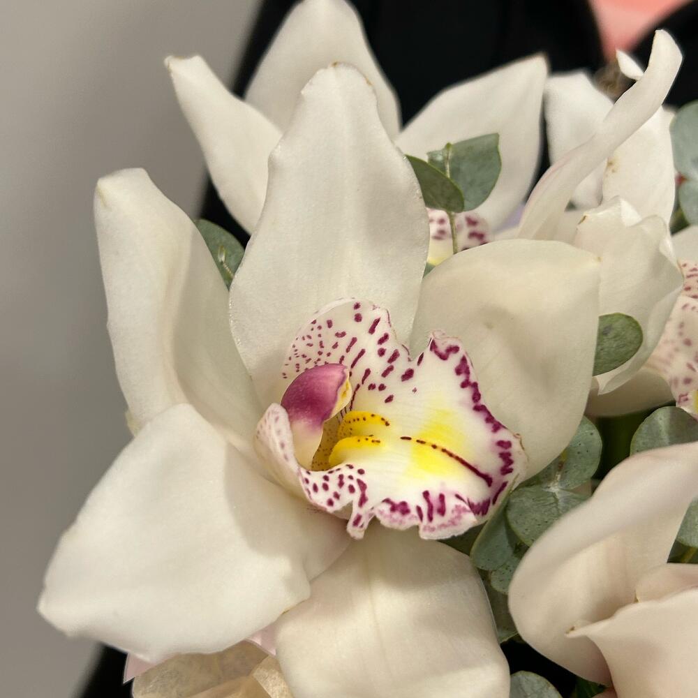 https://content2.flowwow-images.com/data/flowers/1000x1000/41/1699873190_29257641.jpg